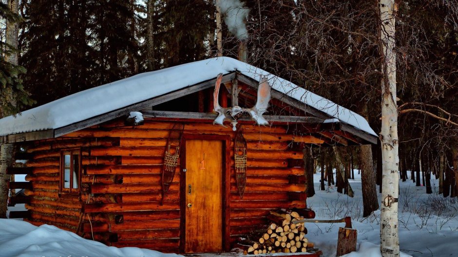 Охотничий дом в лесу Аляска
