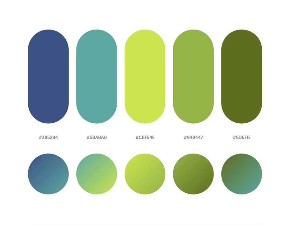 Цветовые схемы Палитры зеленый