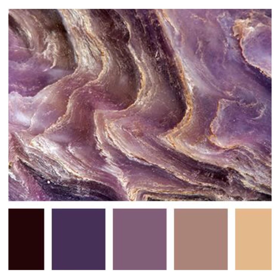 Палитра фиолетовый коричневый