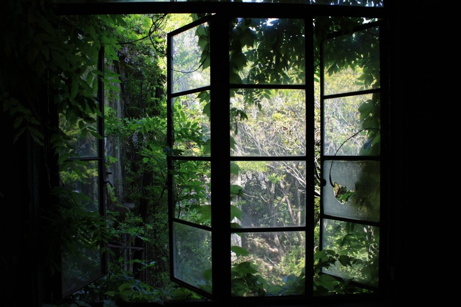 Фотообои окно видом на природу