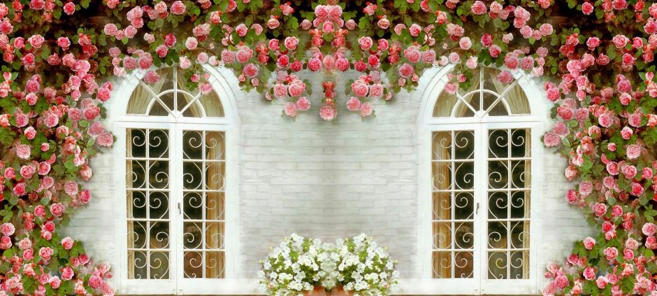Стена с окном и цветами