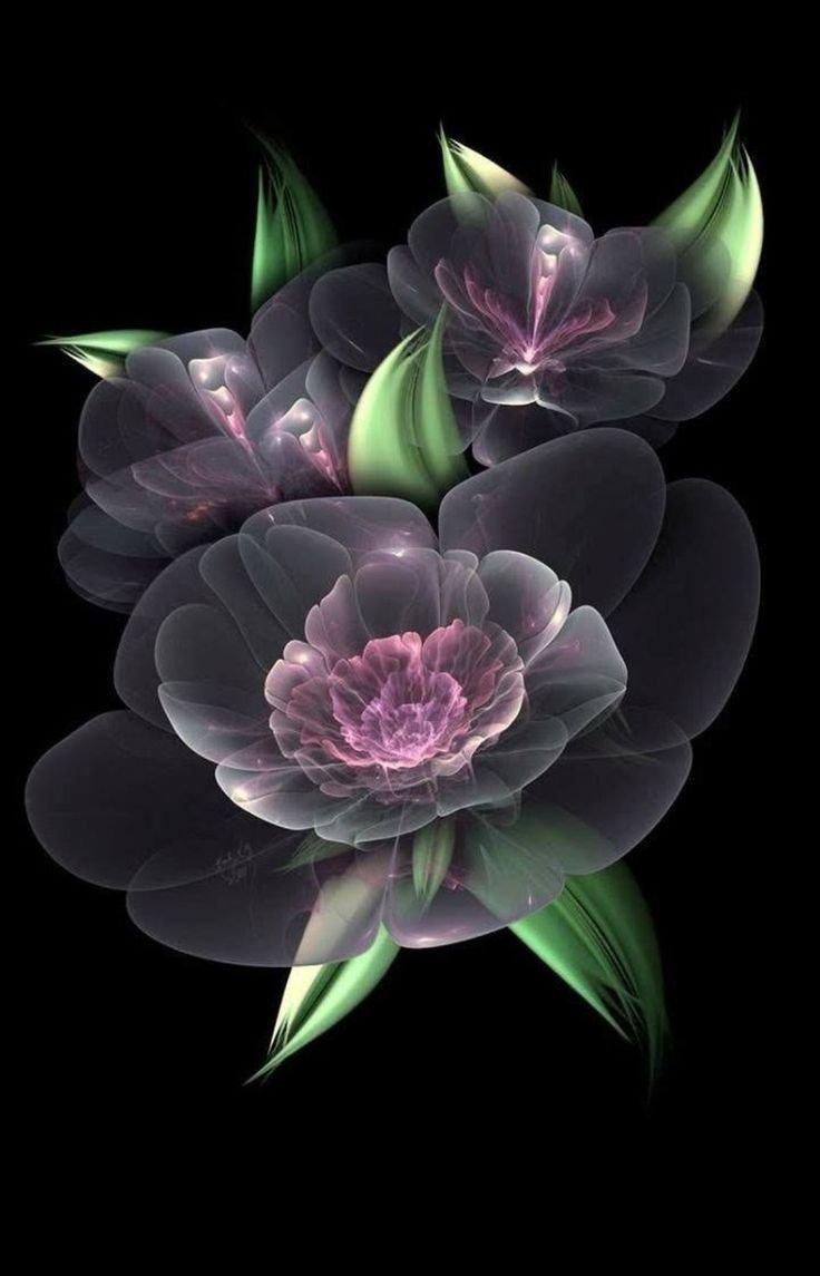 Фантастические цветы на черном фоне