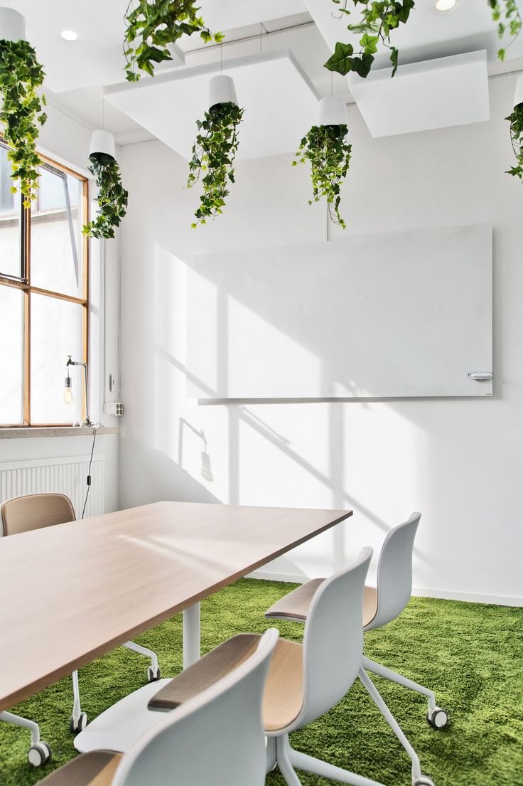 Озеленение офиса дизайнерское