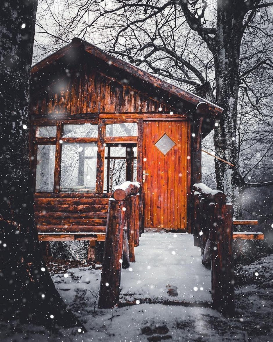 Деревенский дом в лесу зимой