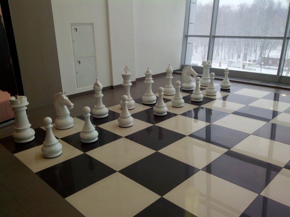 Фигуры шахматные гигантские (Король 61 см)