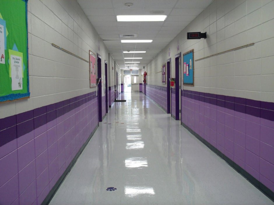Цвет стен в школьном коридоре