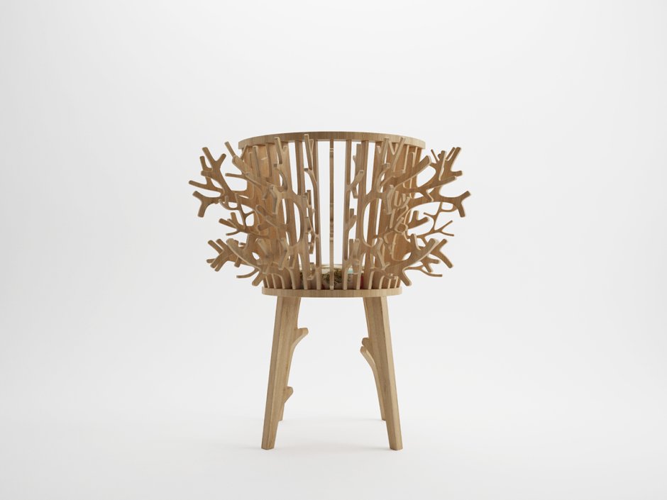 Дизайн из природы стул