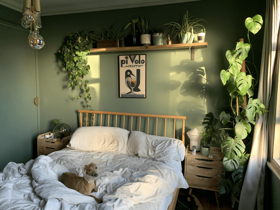 Комната в стиле Plant mom