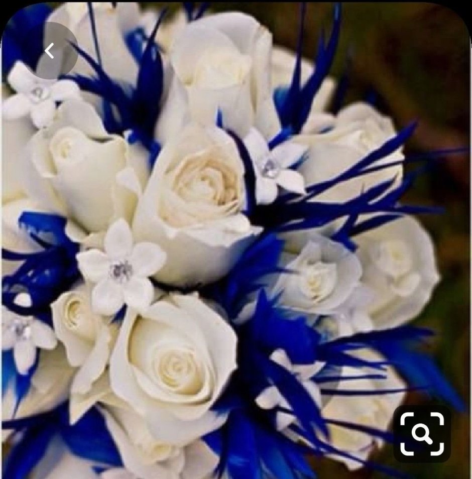 Букет белые розы с синими цветами