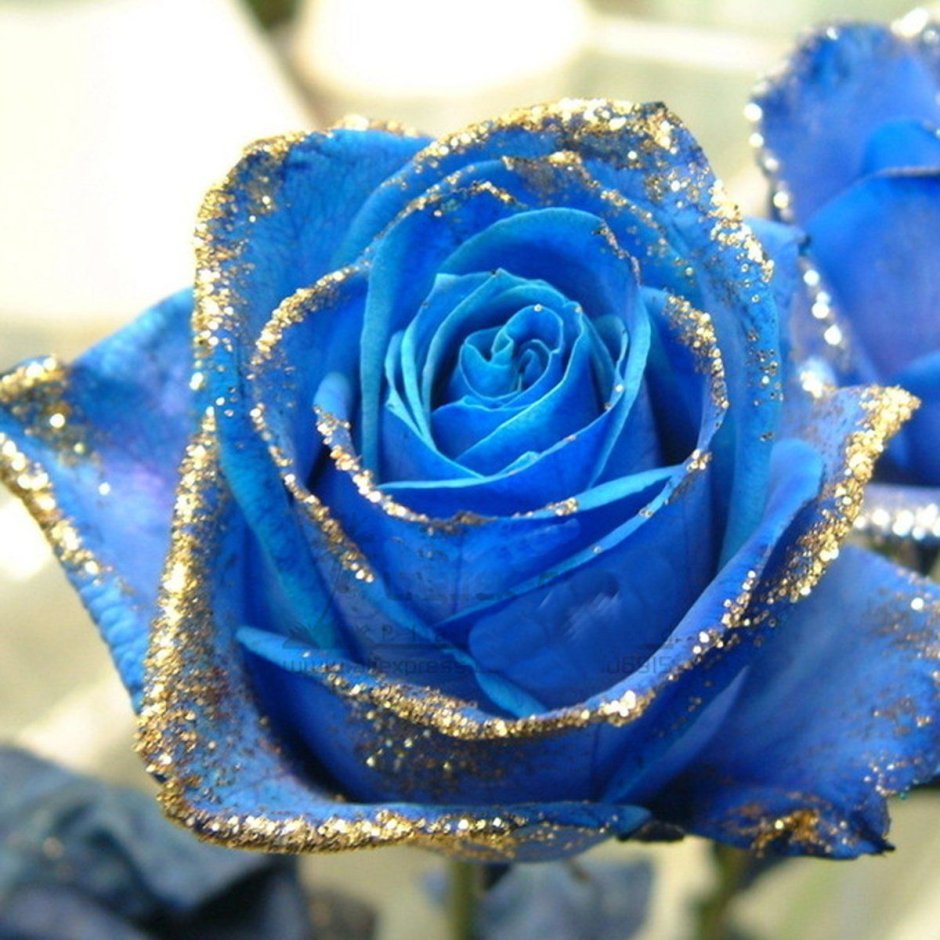 Голубые розы с блестками