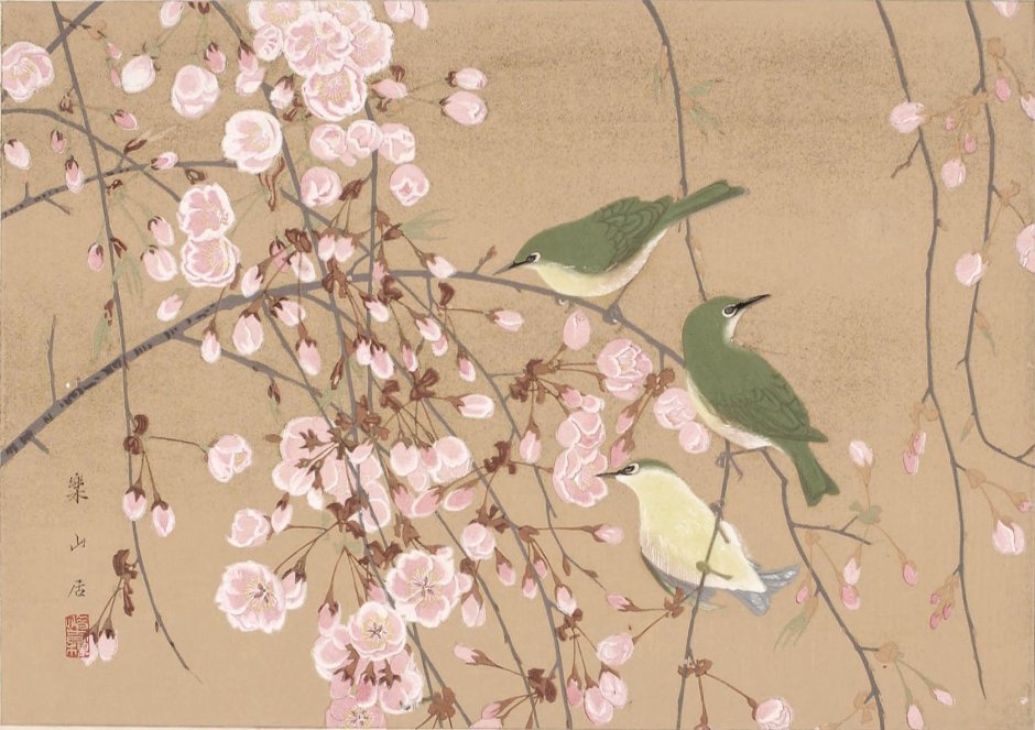 Цветущая слива японская Ксилография