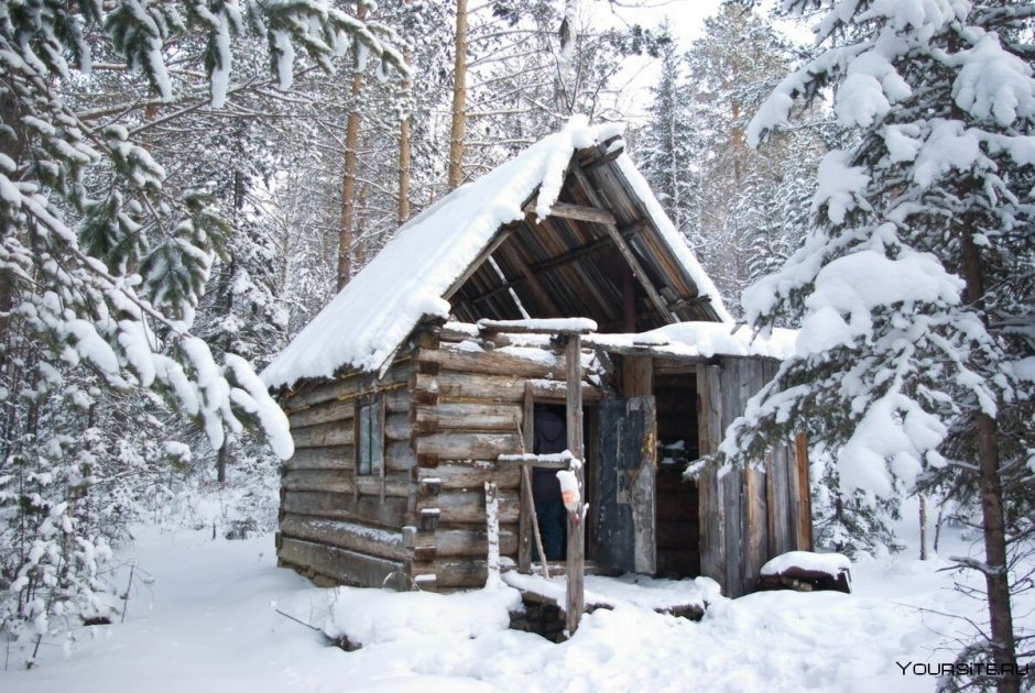 Сибирский лес Сибирская Тайга зимовье