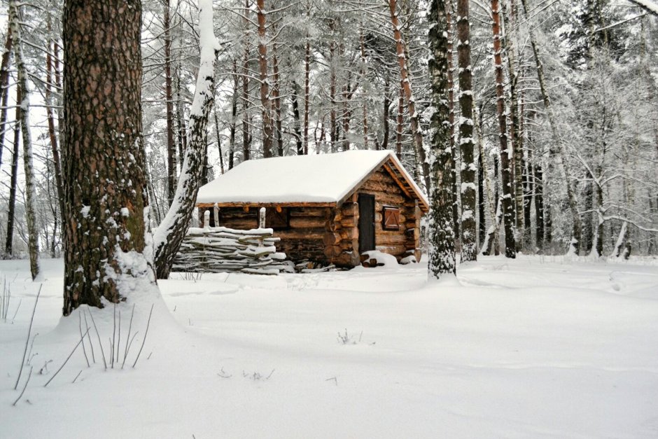 Дом зимовье в тайге