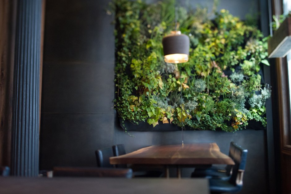 Вертикальное Озеленение в кафе